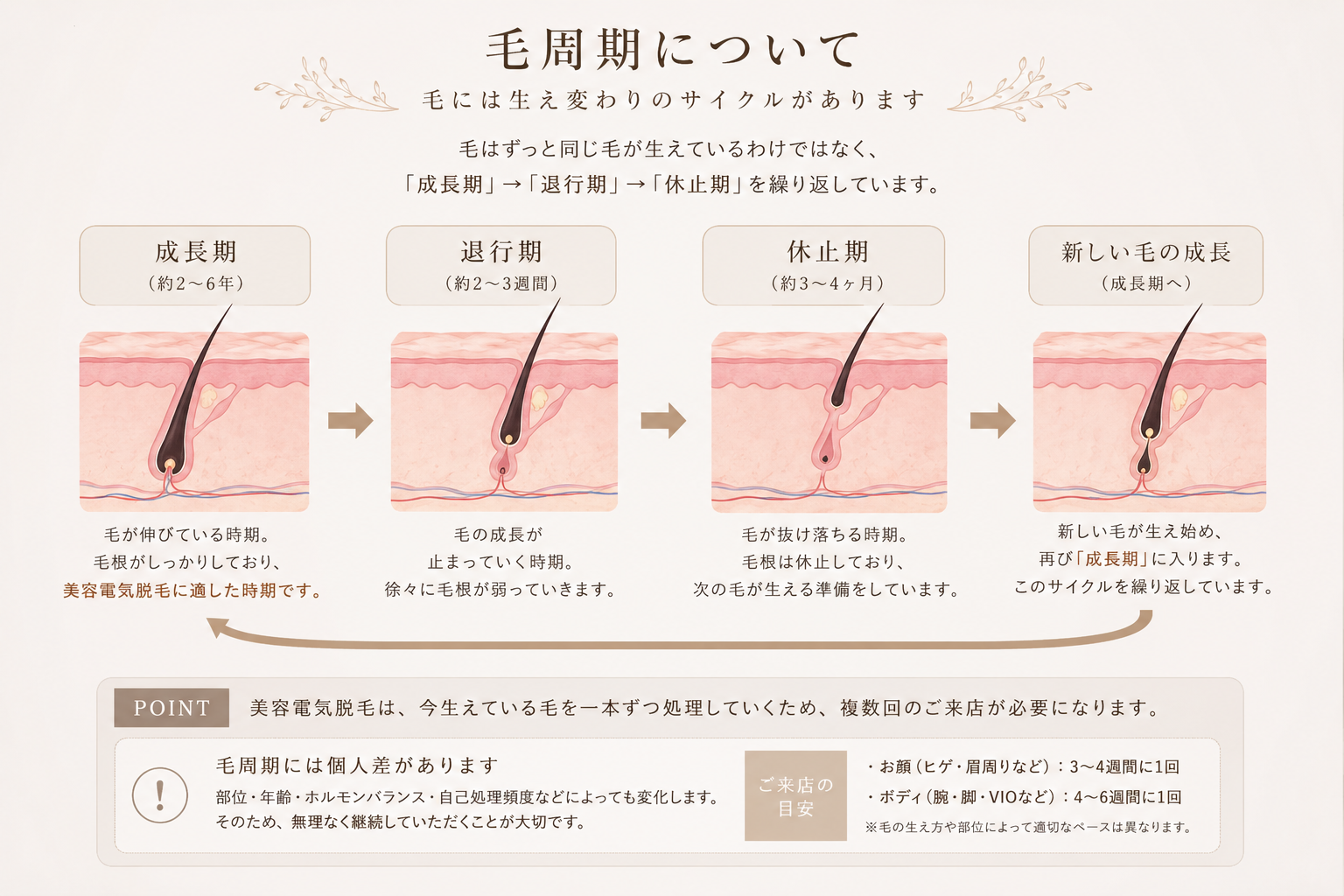 毛周期について